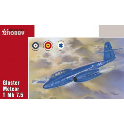 Gloster Meteor T Mk 7.5, "Large Tail Trainer", Décal Belge 1/72