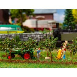 10 Petits Pommiers / 10 small apple trees H0