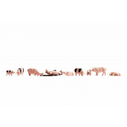 Cochons / Pigs N