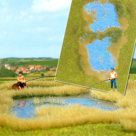 Lac avec rive / Lake with grass and reed shoreline H0