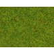 Herbe Vert Printemps / Scatter Grass Spring Meadow, 2,5 mm, 20 gr