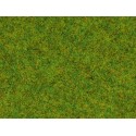 Herbe Vert Printemps / Scatter Grass Spring Meadow, 2,5 mm, 20 gr