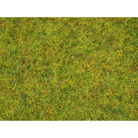 Herbe Vert Eté / Scatter Grass Summer Meadow, 2,5 mm, 20 gr