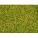 Herbe Vert Eté / Scatter Grass Summer Meadow, 2,5 mm, 20 gr