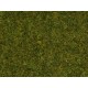 Herbe Vert Pré / Scatter Grass Meadow, 2,5 mm, 20 gr