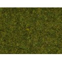 Herbe Vert Pré / Scatter Grass Meadow, 2,5 mm, 20 gr