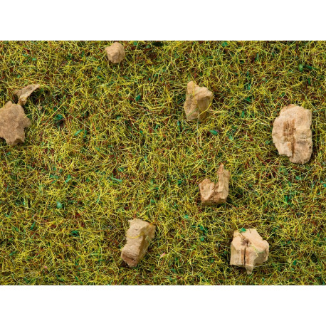 Herbe Sol de Forêt de bois / Scatter Grass Alpine Meadow, 2,5 mm, 20 gr