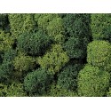Mousse Assortiment verts / Lichen, Green Mix, assorted, 35 gr