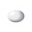 N° 04 Blanc Brillant / White Gloss RAL 9010