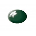 N° 62 Vert Foncé Brillant / Moss Green Gloss