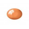 N° 730 Orange Clair Transparent / Orange Clear