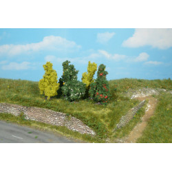 5 Arbustes / 5 shrubs 6 cm