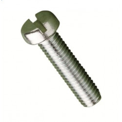 Vis / Slotted Cheese Head Bolt M2x10mm