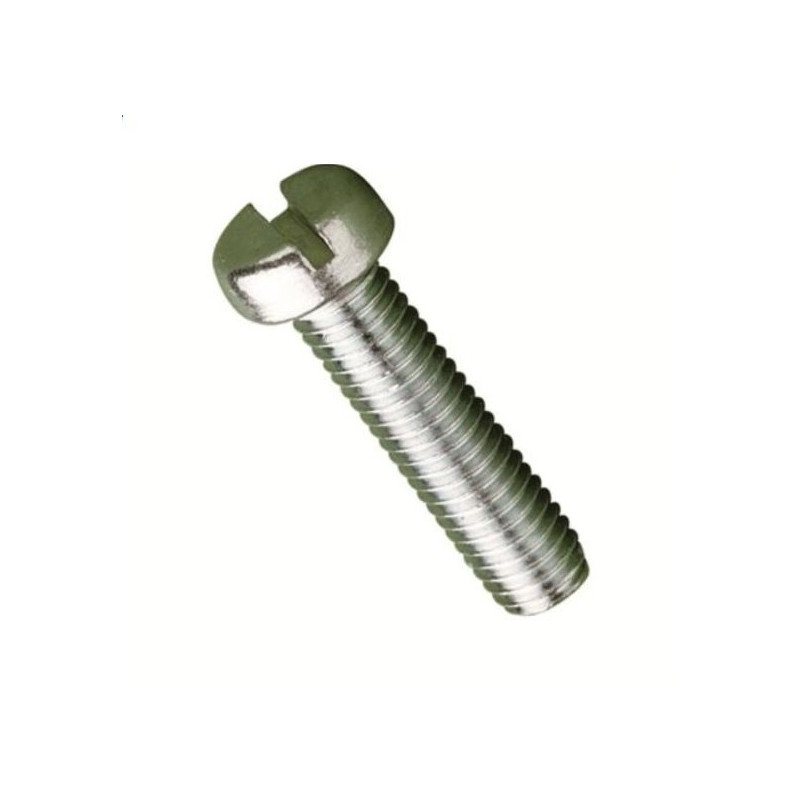 20 Vis / Slotted Cheese Head Bolt M2x10mm