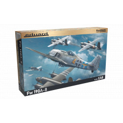 Fw 190A-8 1/48