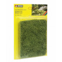 Bushes Medium Green