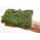 PROFI Bushes medium green