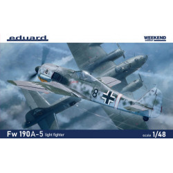 Fw 190A-5 light fighter 1/48