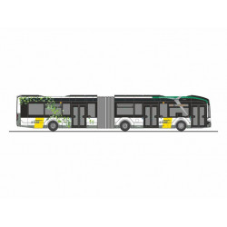 MAN Lion's City 18 E De Lijn (B)