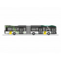 MAN Lion's City 18 E De Lijn (B)