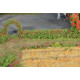 2 haies de rosiers flexibles H0/TT/N / 2 flexible rose hedges