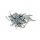 Clous de fixation courts / Track fixing pins, short H0