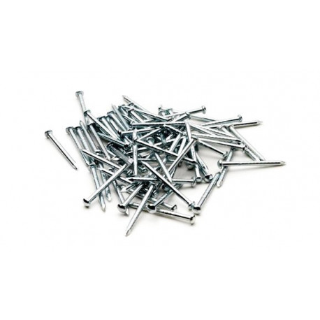 Clous de fixation courts / Track fixing pins, short H0