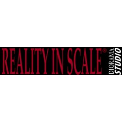 Reality In Scale